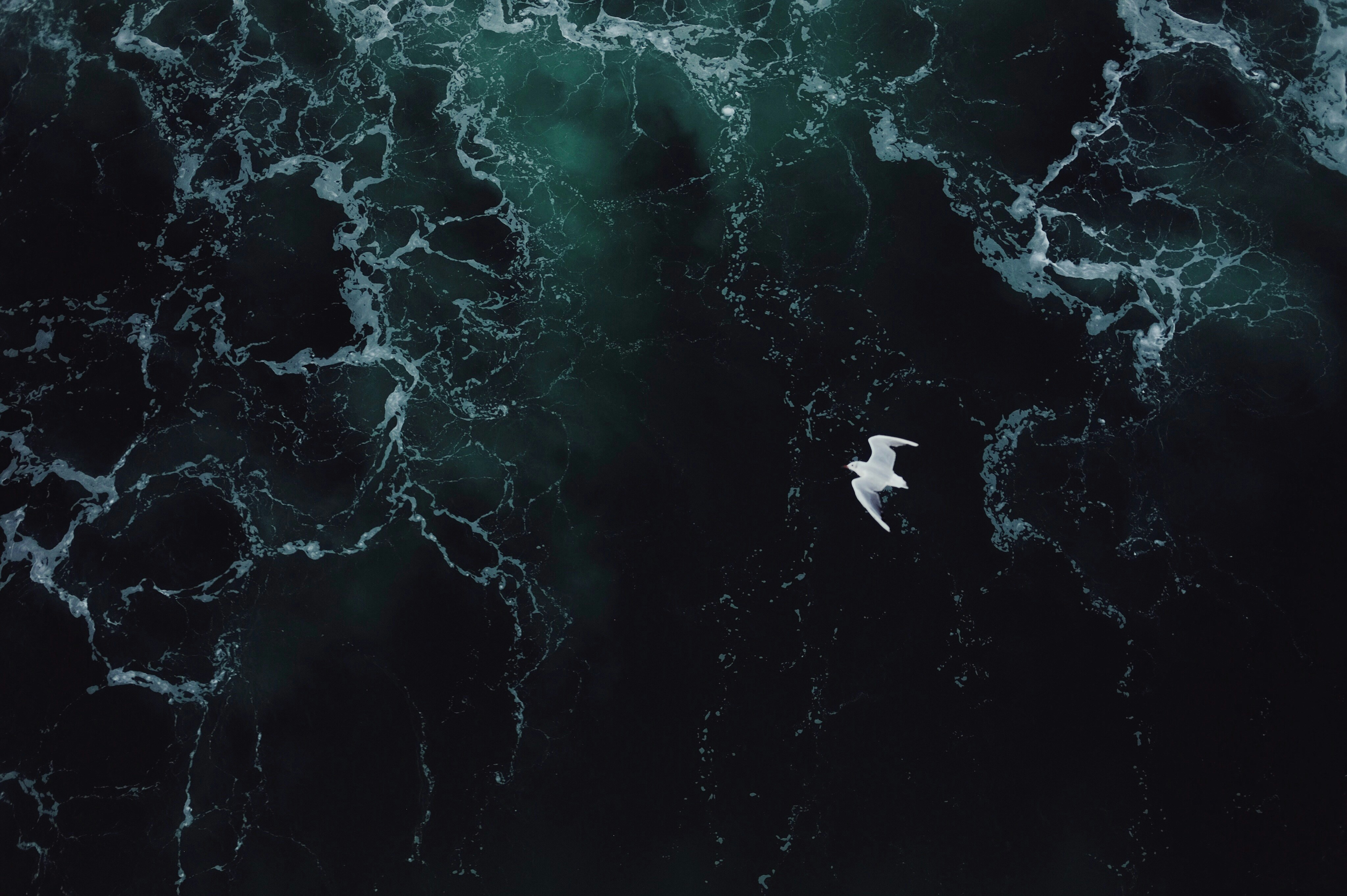 Profile Banner