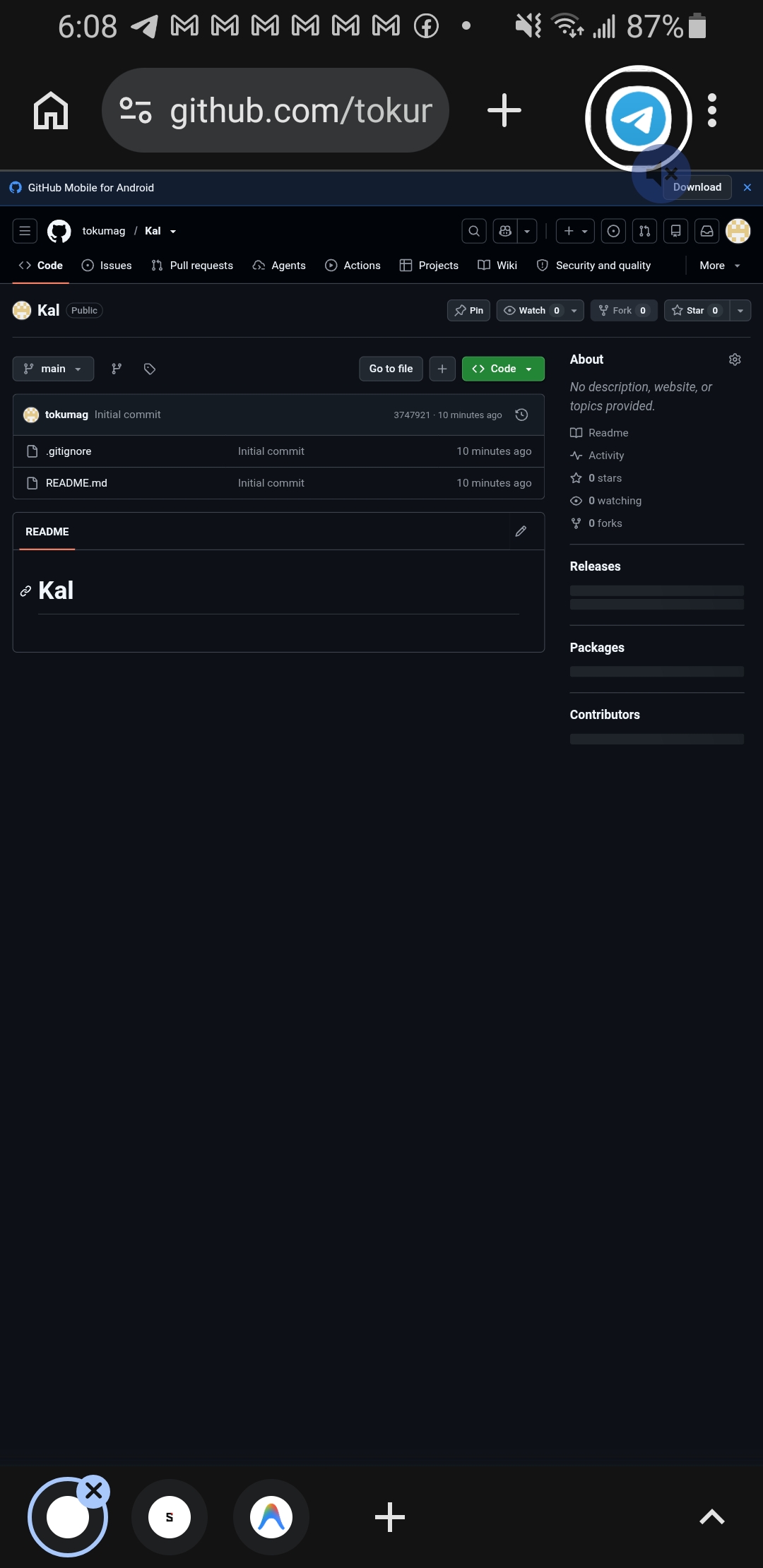 Project Preview
